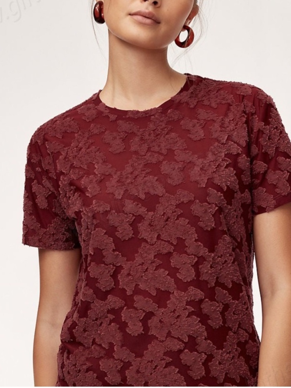 Aritzia Wilfred Tarascon Burgundy Appliqué Floral Semi Sheer Lace Blouse Medium - Picture 2 of 6